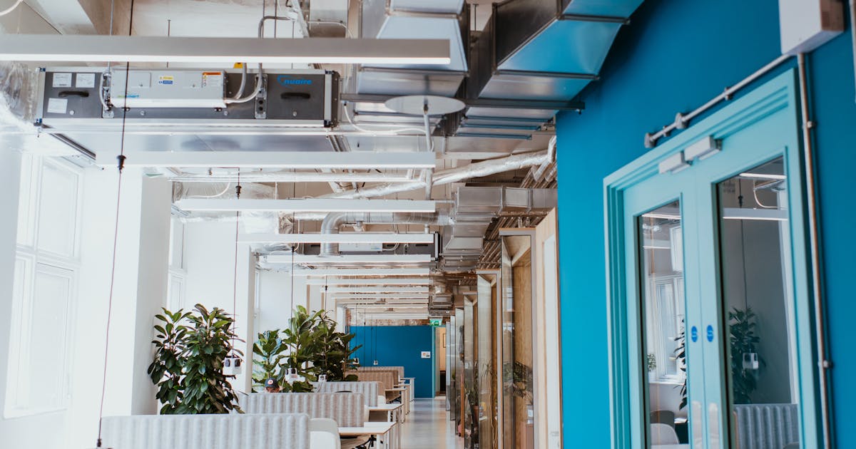 Hastings Commons The Observer Building Ondemand office space with