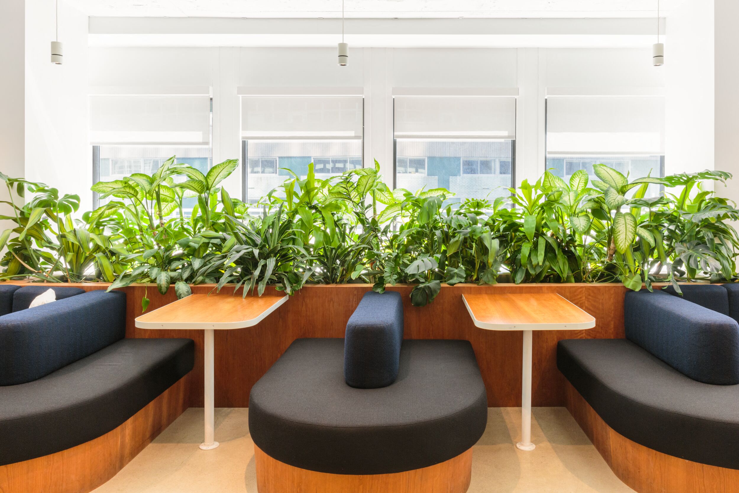 Coworking area