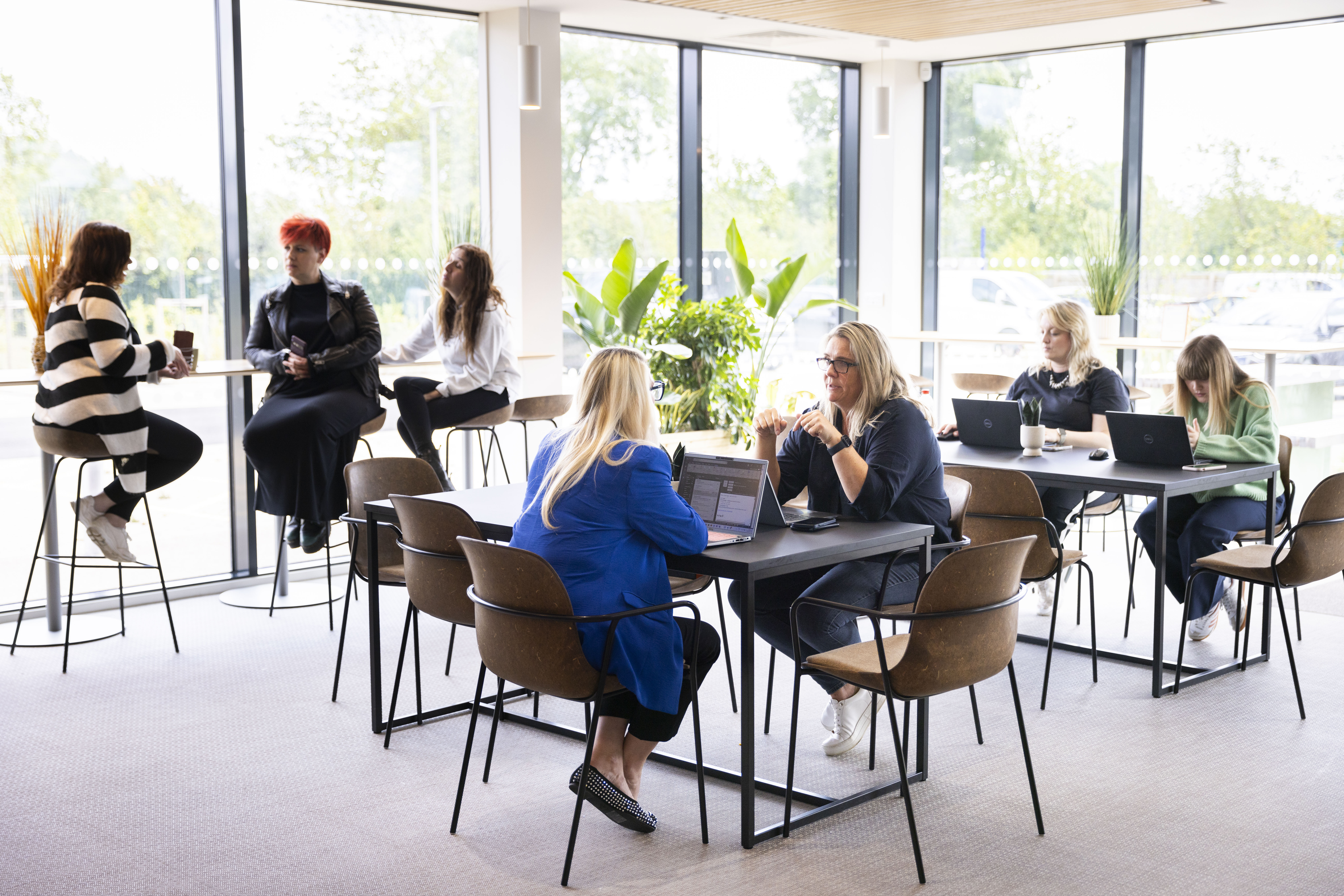 Breakout area