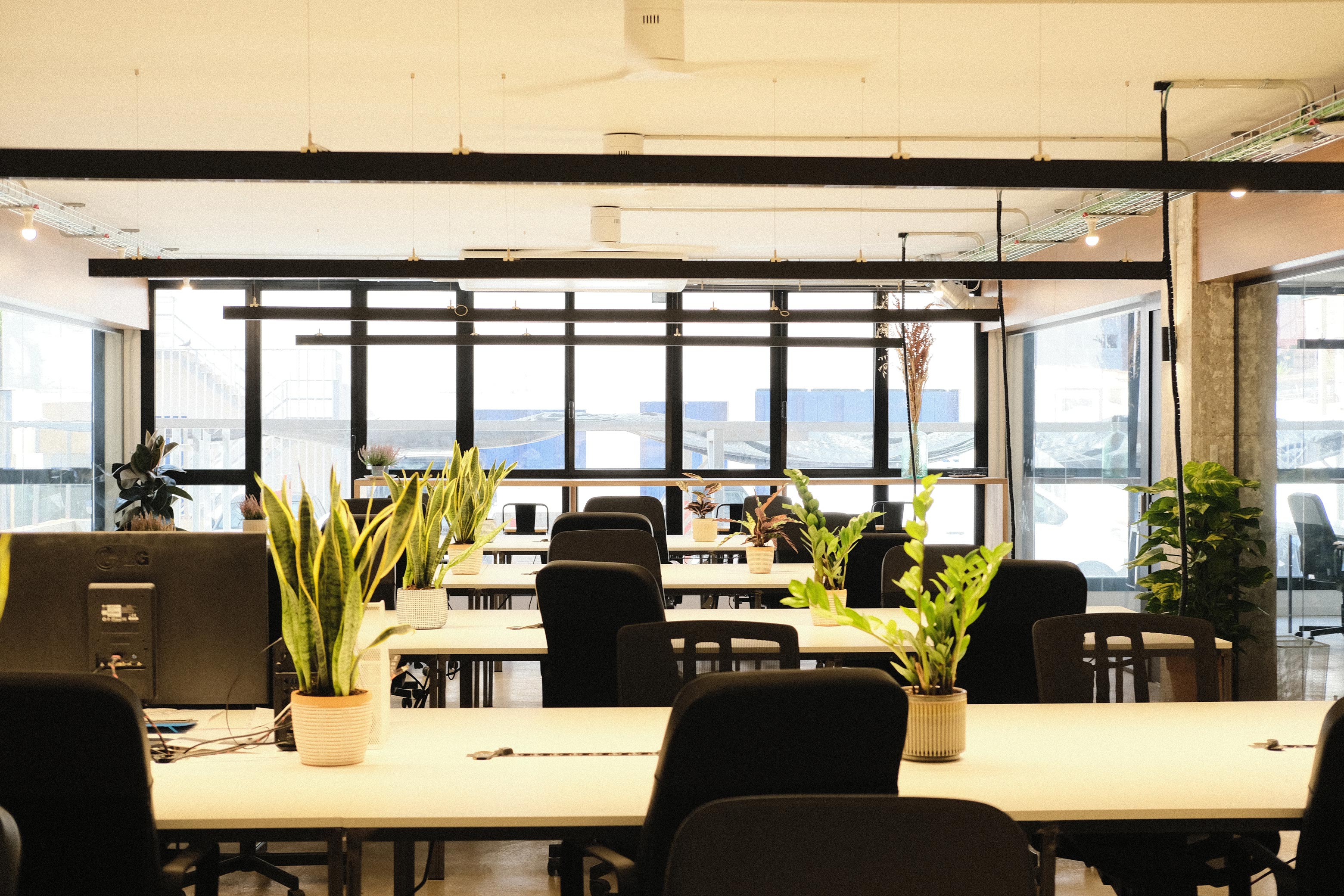 Coworking area