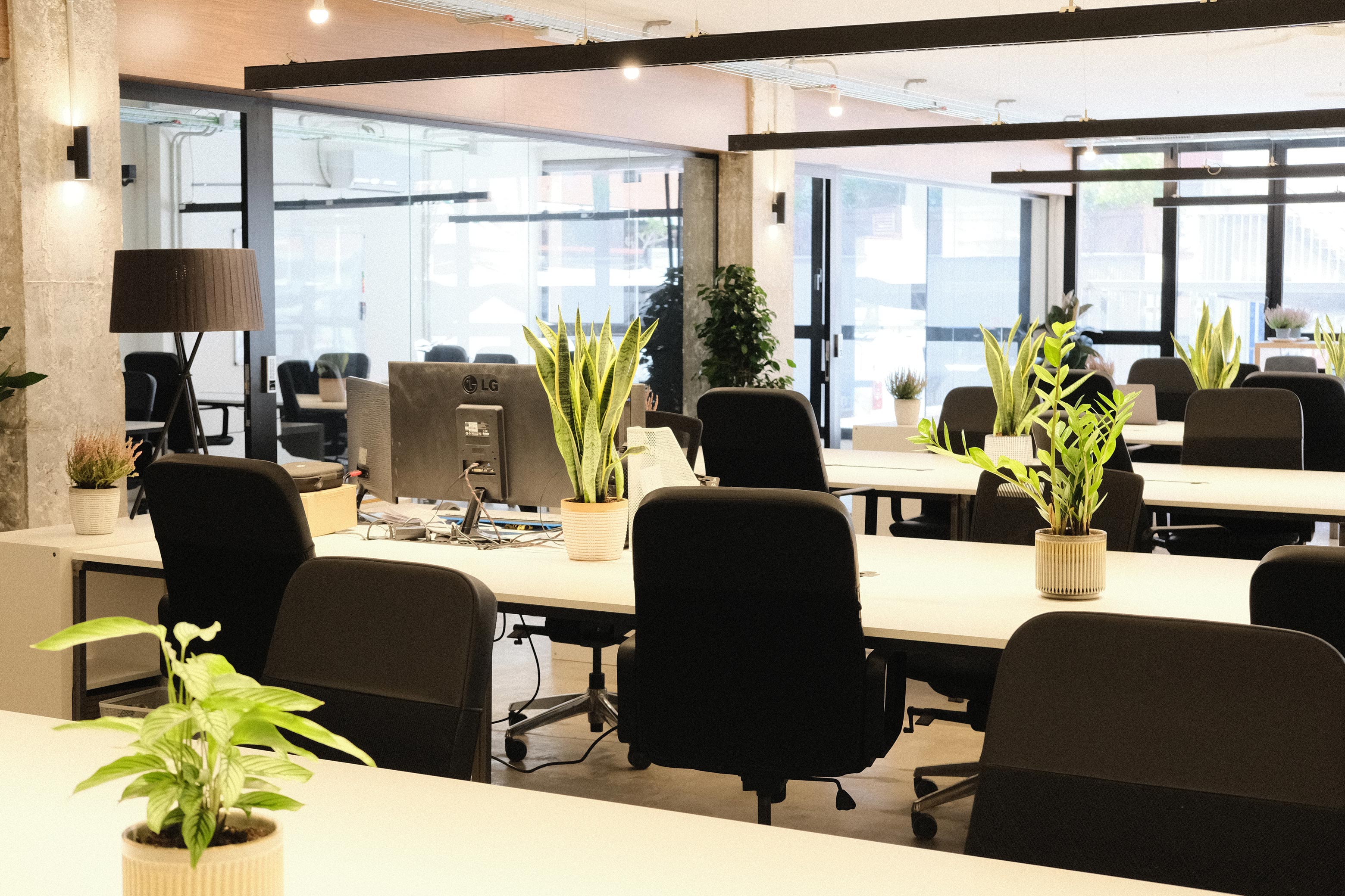 Coworking area