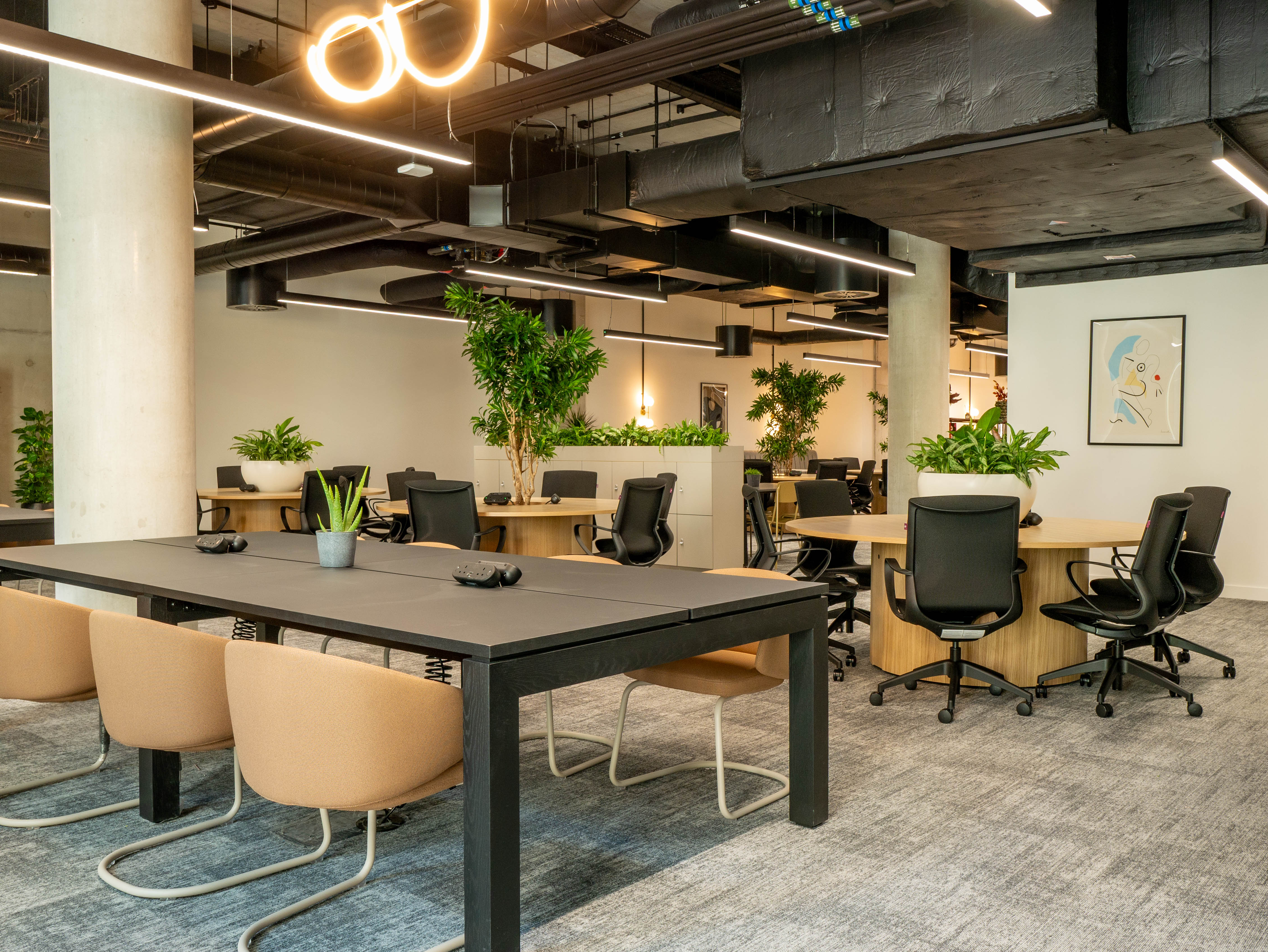 Coworking area