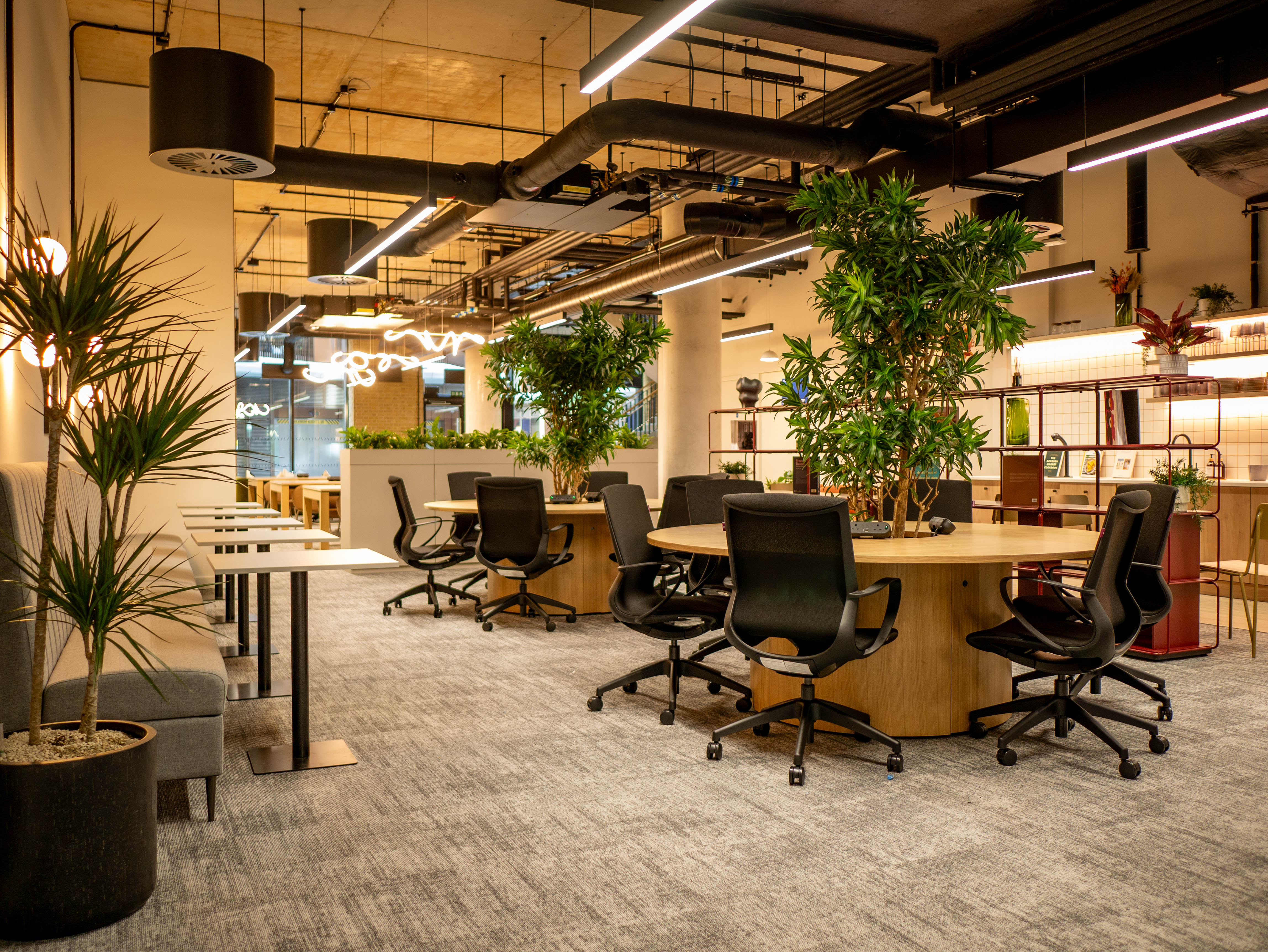 Coworking area