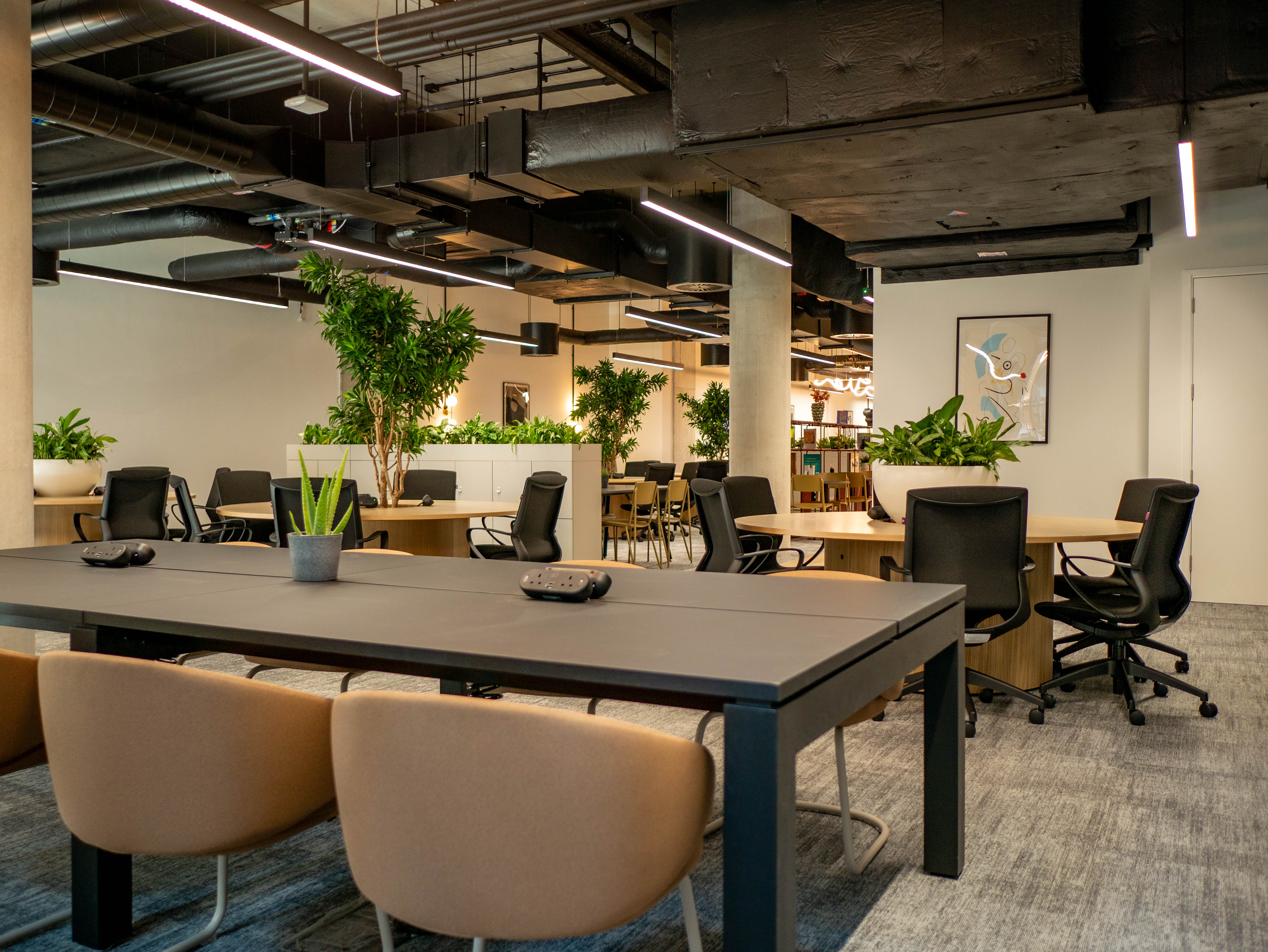 Coworking area