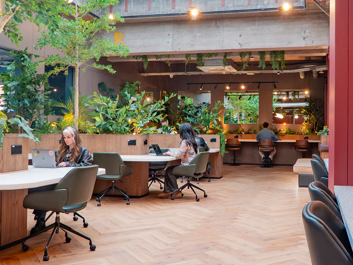 Coworking area