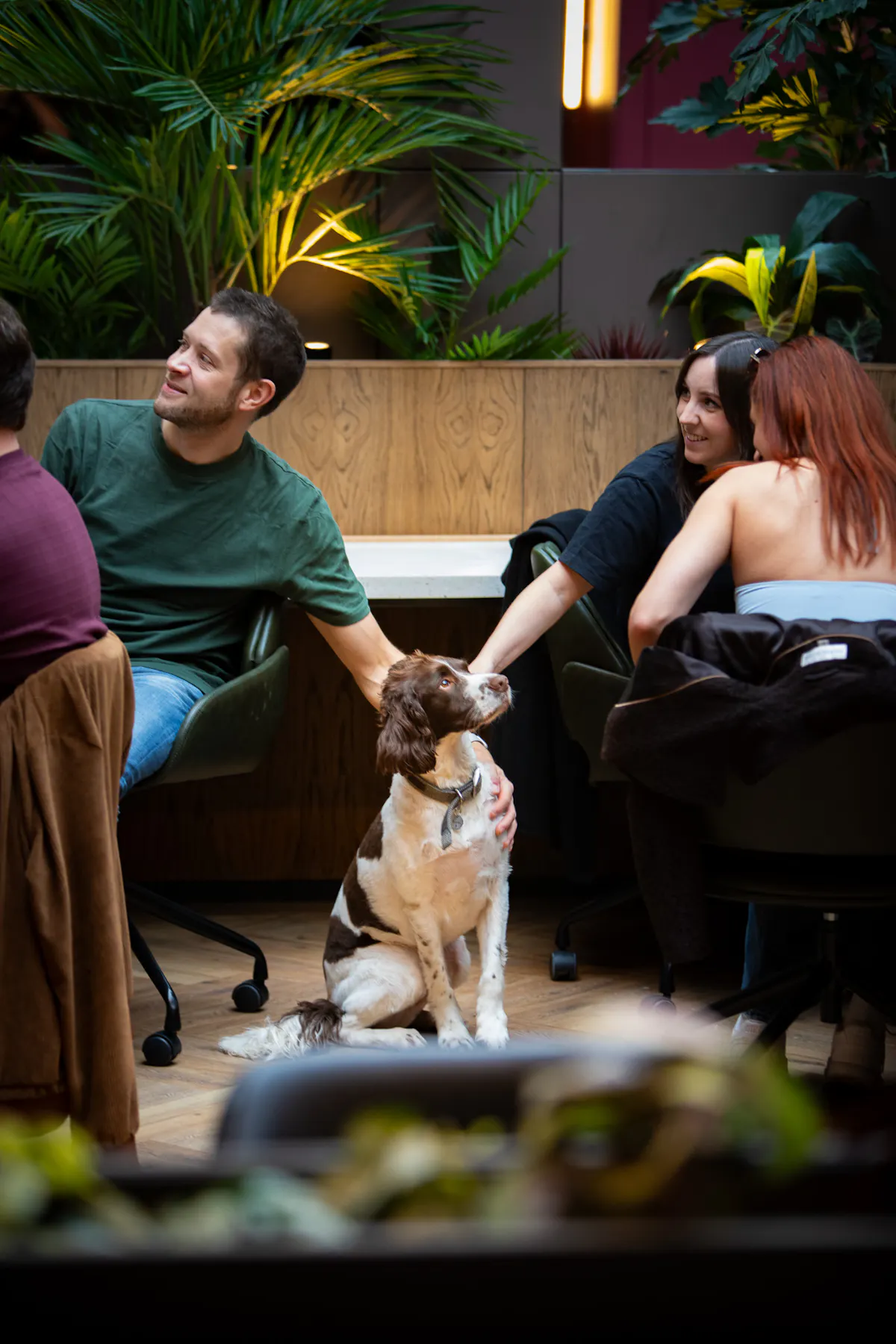 Coworking area