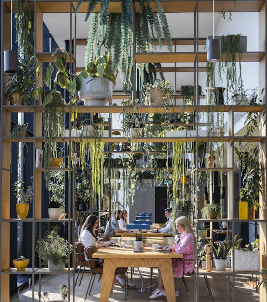 A team working in a meeting room with natural light and foliage